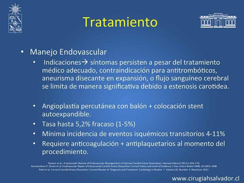 Diapositiva 16 de Disección carotidea