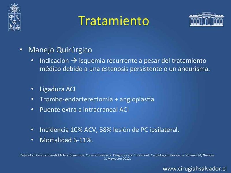 Diapositiva 17 de Disección carotidea
