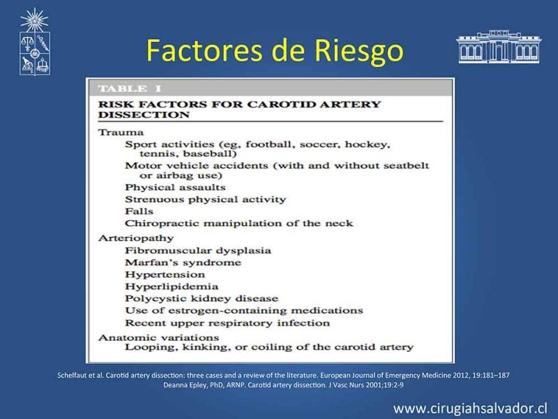 Diapositiva 6 de Disección carotidea