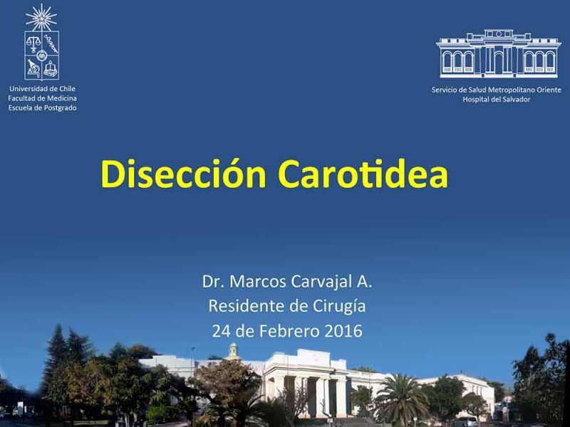 Diapositiva 21 de Disección carotidea