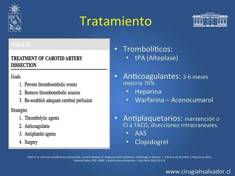 Diapositiva 13 de Disección carotidea