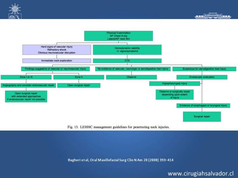 Diapositiva 13 de Trauma Cervical