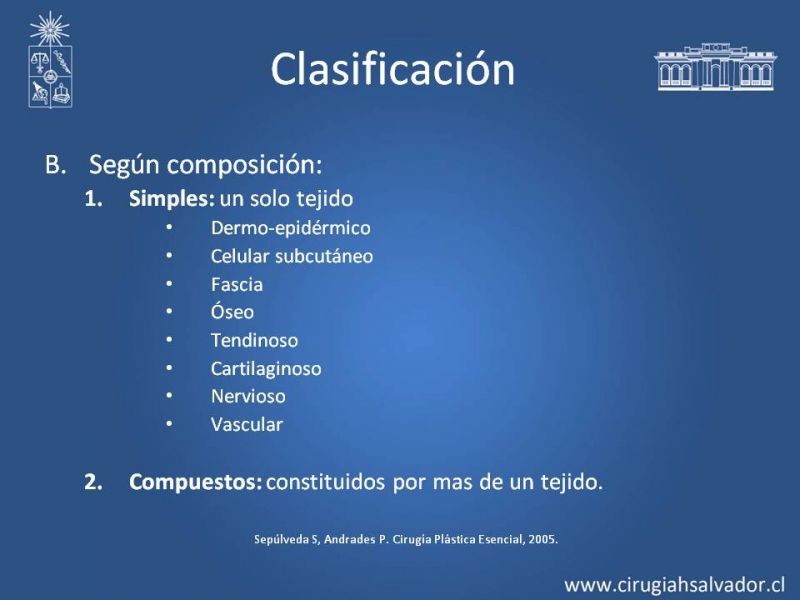 Diapositiva 5 de Injerto dermo-epidérmico: Técnica Quirúrgica 