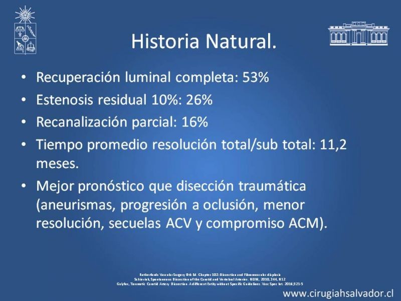 Diapositiva 13 de Disección Carotídea