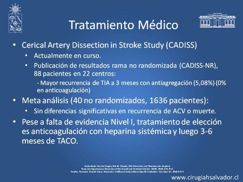 Diapositiva 15 de Disección Carotídea
