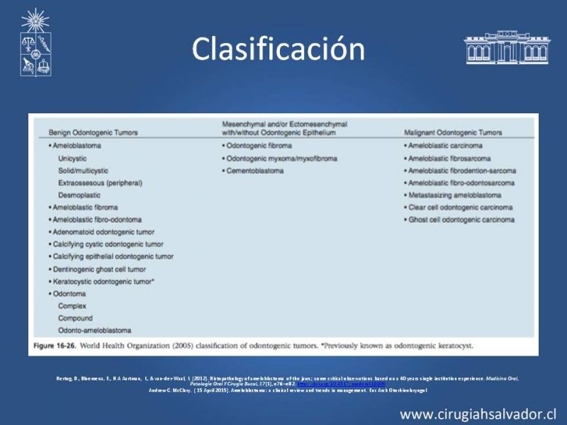 Diapositiva 5 de Ameloblastoma