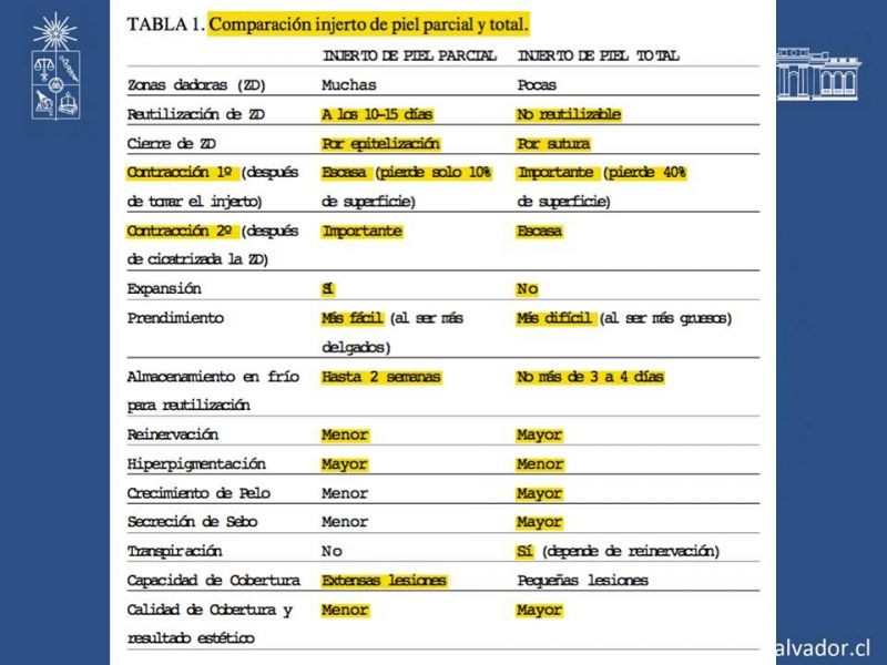 Diapositiva 45 de Injerto dermo-epidérmico: Técnica Quirúrgica 