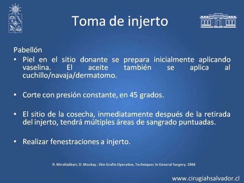 Diapositiva 17 de Injerto dermo-epidérmico: Técnica Quirúrgica 
