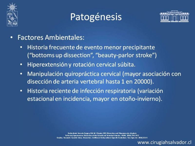 Diapositiva 6 de Disección Carotídea