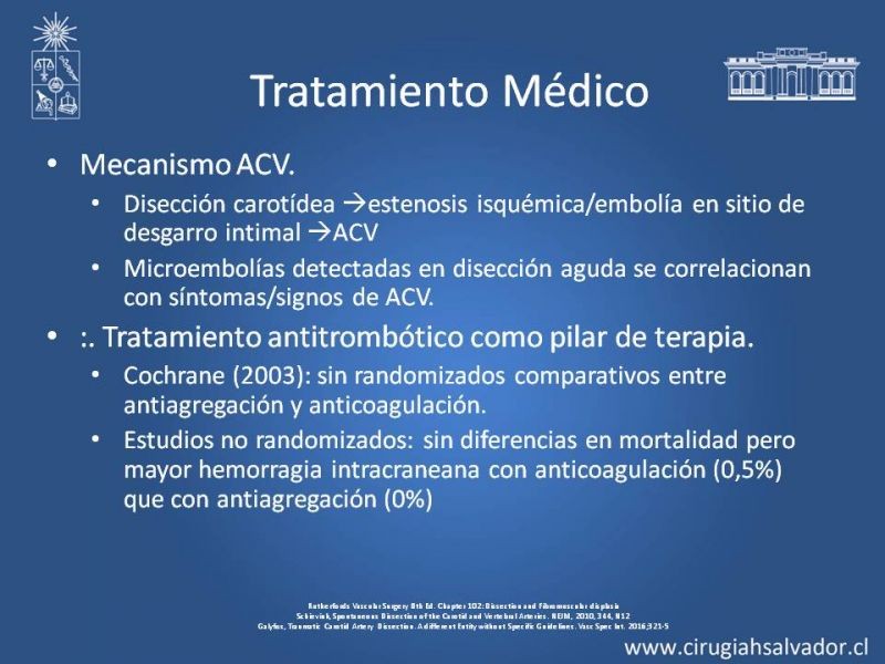 Diapositiva 14 de Disección Carotídea