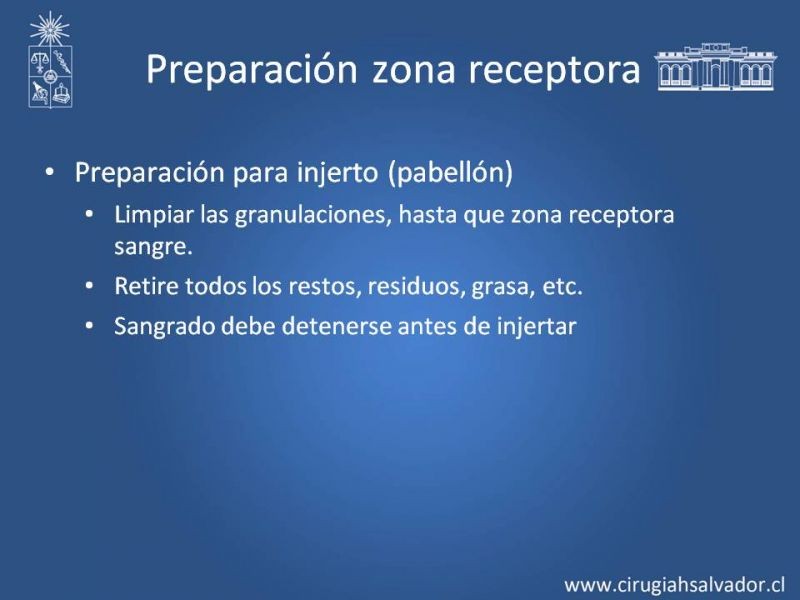 Diapositiva 15 de Injerto dermo-epidérmico: Técnica Quirúrgica 