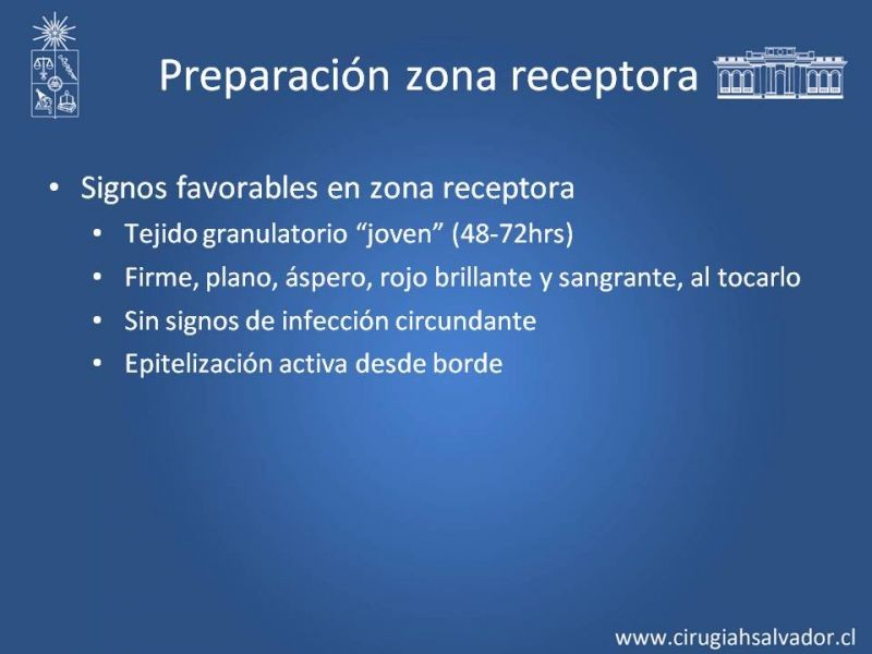 Diapositiva 14 de Injerto dermo-epidérmico: Técnica Quirúrgica 