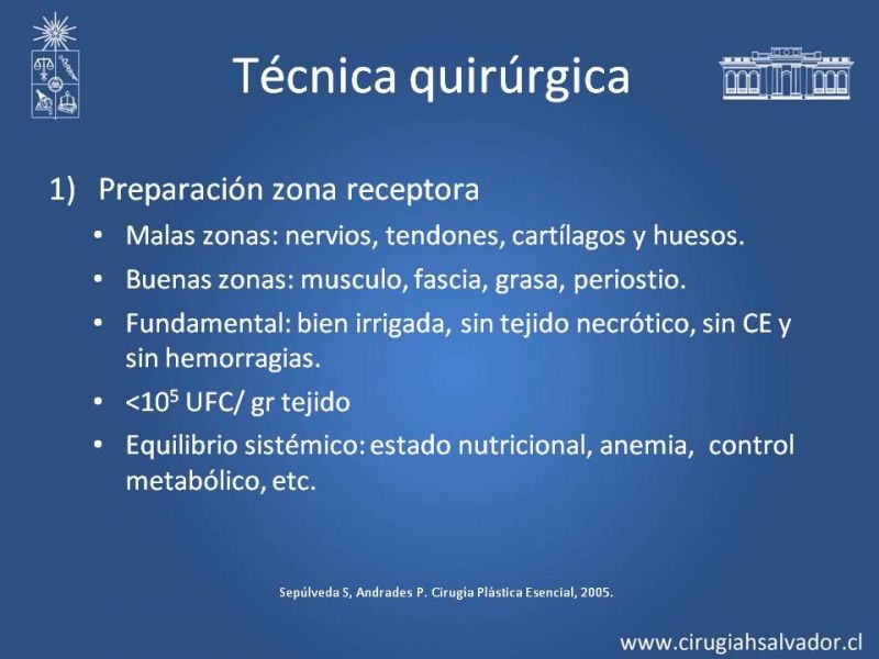 Diapositiva 13 de Injerto dermo-epidérmico: Técnica Quirúrgica 