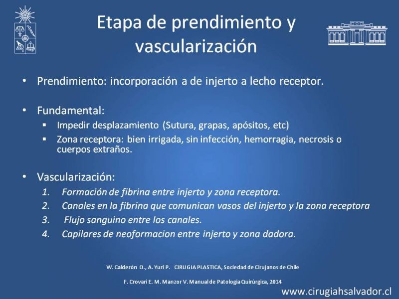 Diapositiva 12 de Injerto dermo-epidérmico: Técnica Quirúrgica 