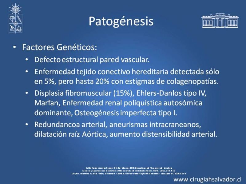 Diapositiva 5 de Disección Carotídea