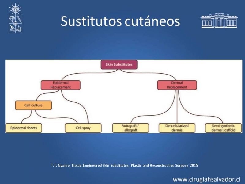 Diapositiva 46 de Injerto dermo-epidérmico: Técnica Quirúrgica 