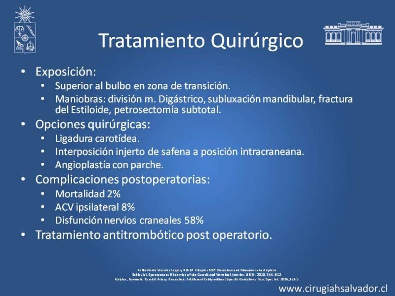 Diapositiva 18 de Disección Carotídea