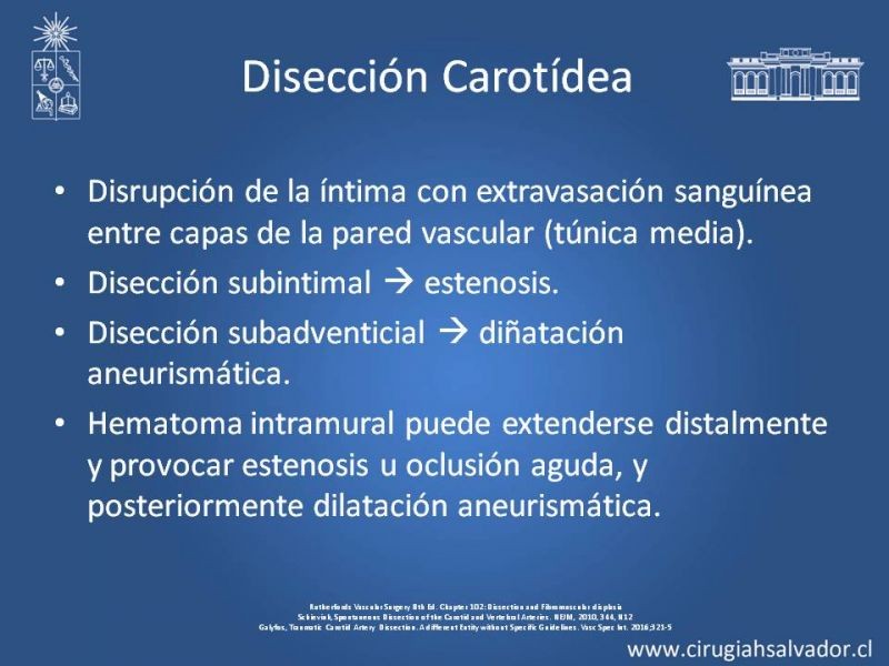 Diapositiva 2 de Disección Carotídea