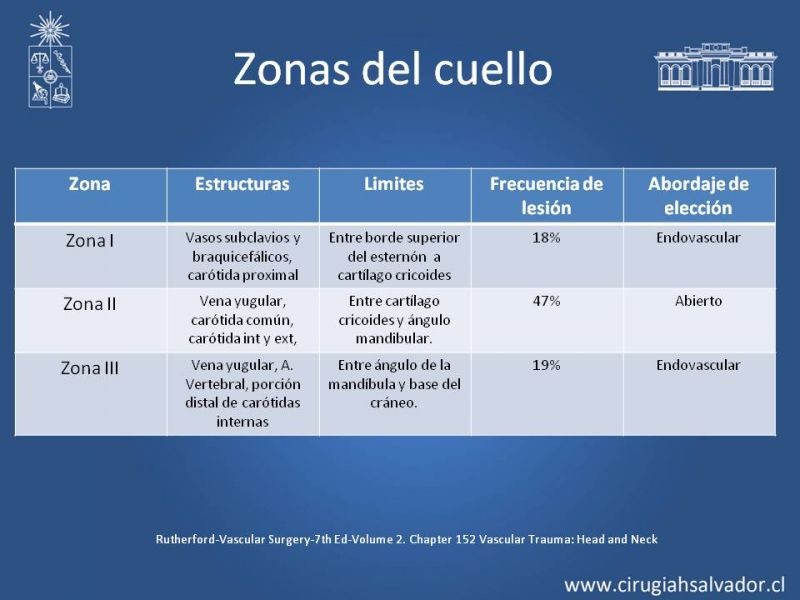 Diapositiva 10 de Trauma Carotídeo