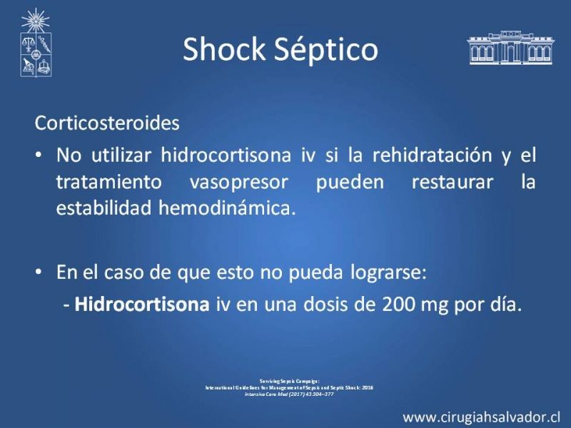 Diapositiva 26 de Shock Séptico