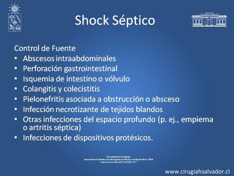 Diapositiva 23 de Shock Séptico