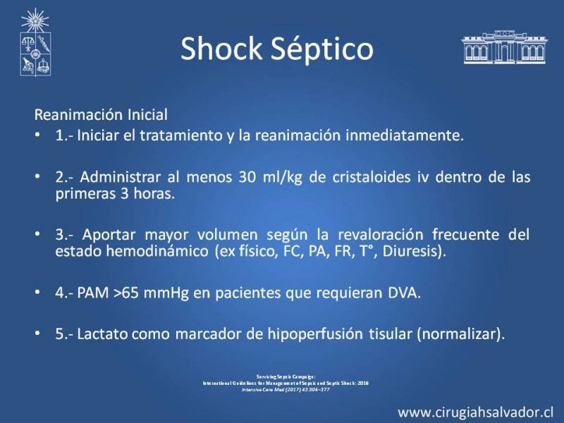 Diapositiva 16 de Shock Séptico