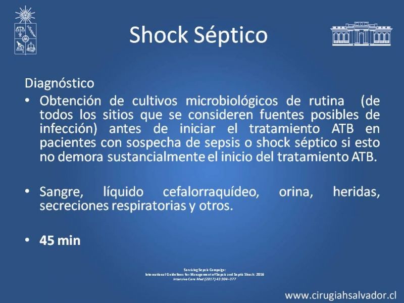 Diapositiva 19 de Shock Séptico