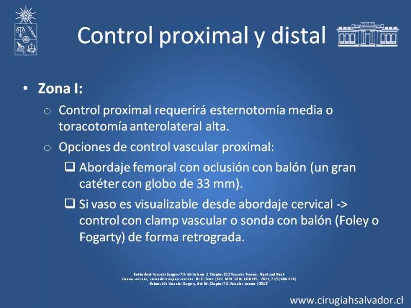 Diapositiva 21 de Trauma Carotídeo