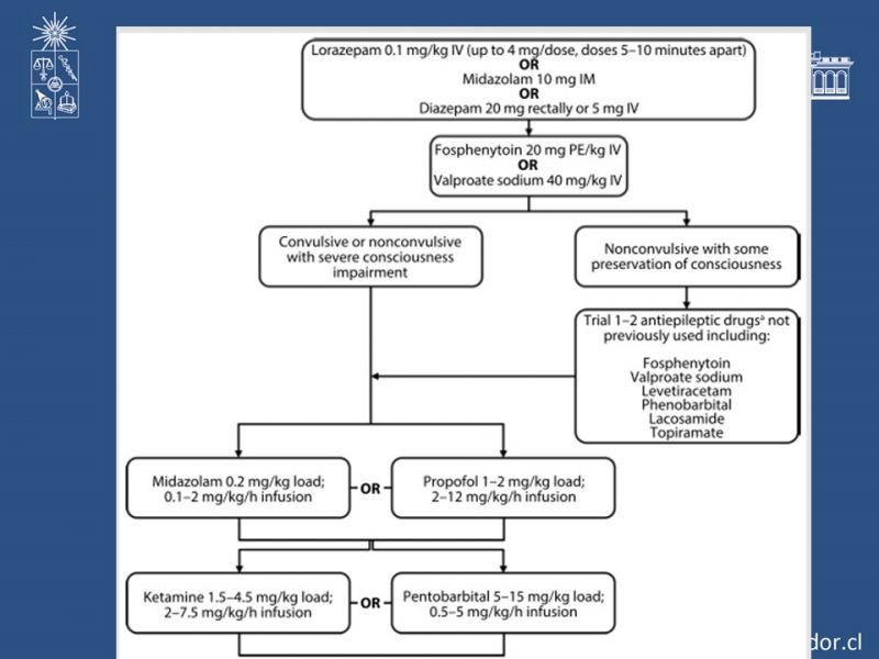 Diapositiva 25 de Status Epiléptico
