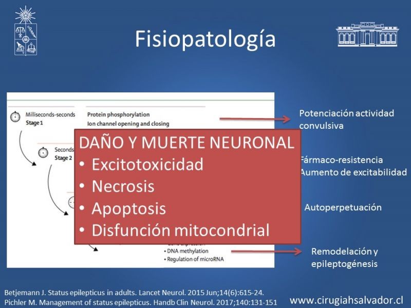 Diapositiva 13 de Status Epiléptico