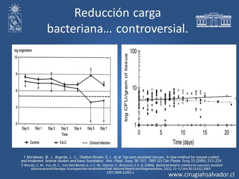Diapositiva 15 de Terapia de presión negativa