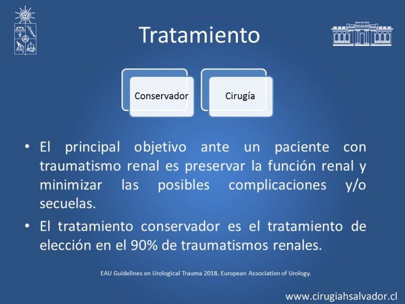 Diapositiva 9 de Trauma Renal