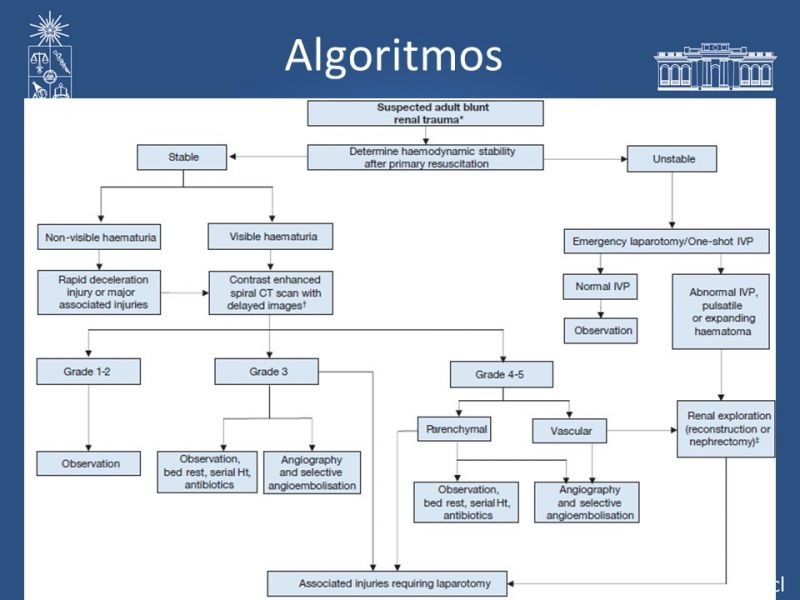 Diapositiva 14 de Trauma Renal