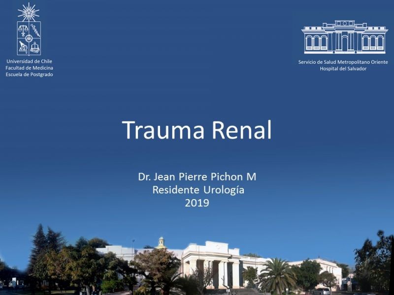 Diapositiva 17 de Trauma Renal