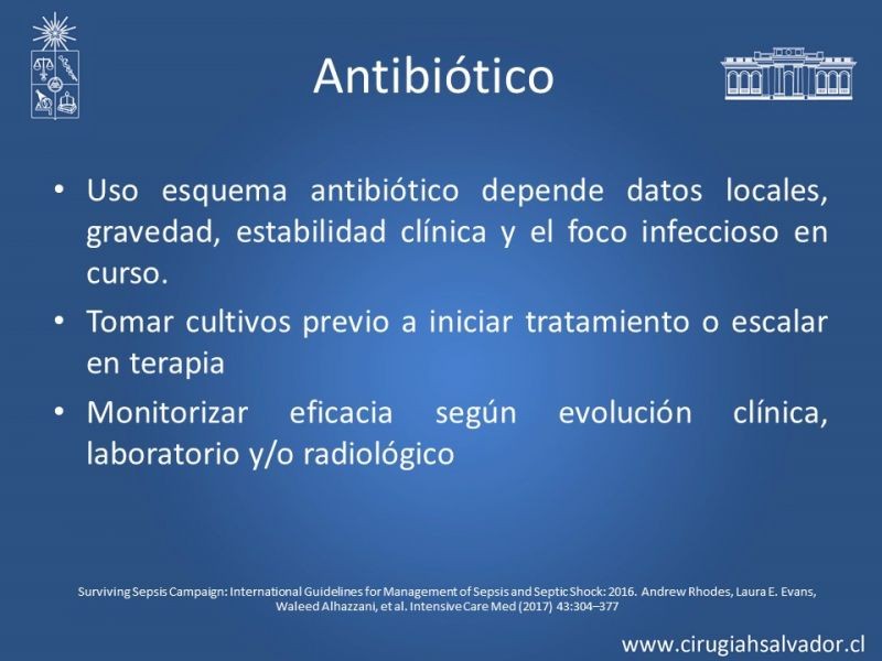 Diapositiva 13 de Schock Séptico