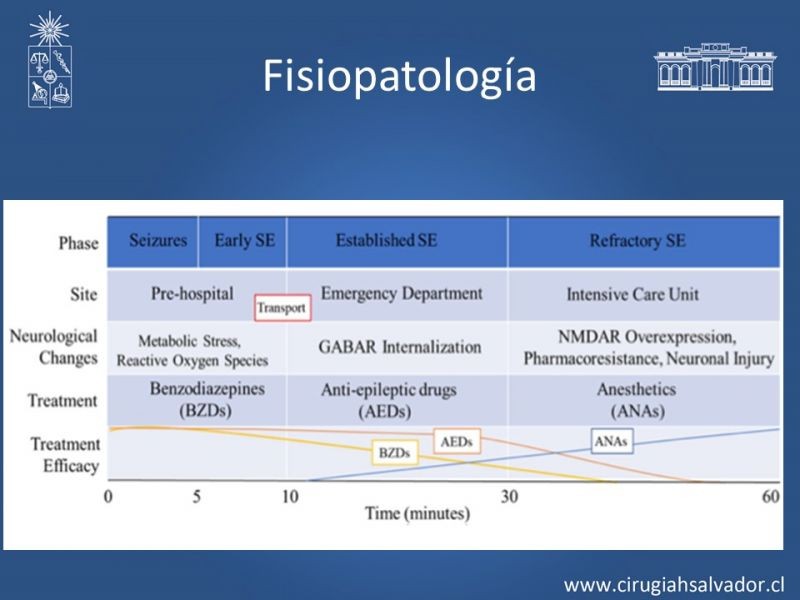 Diapositiva 14 de Status Epiléptico