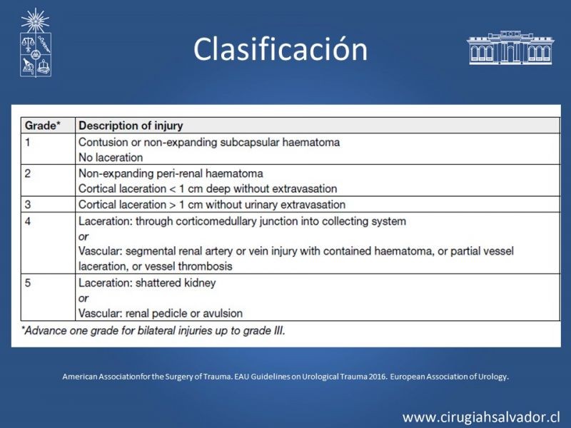 Diapositiva 6 de Trauma Renal
