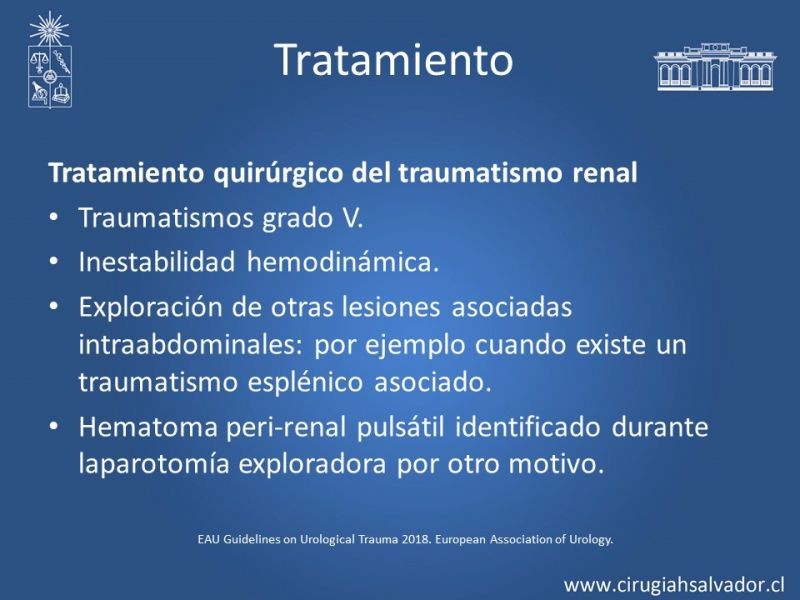 Diapositiva 11 de Trauma Renal