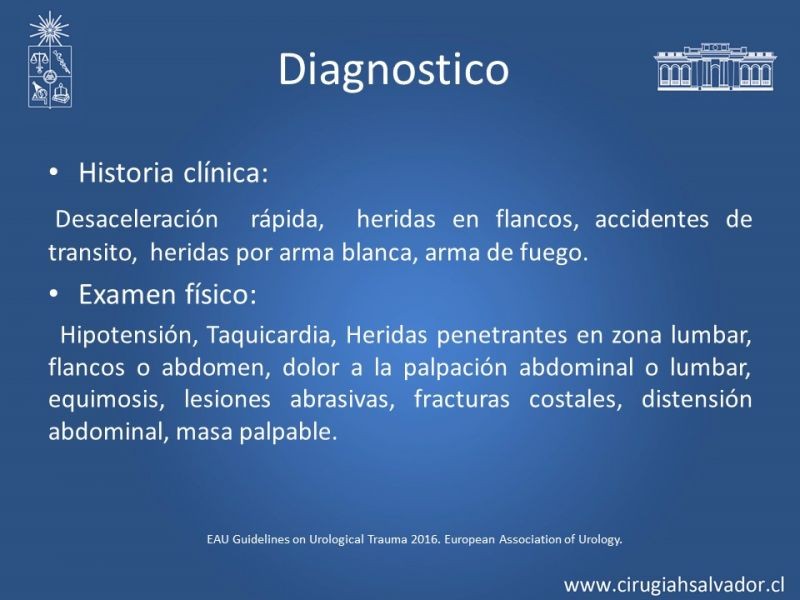 Diapositiva 3 de Trauma Renal
