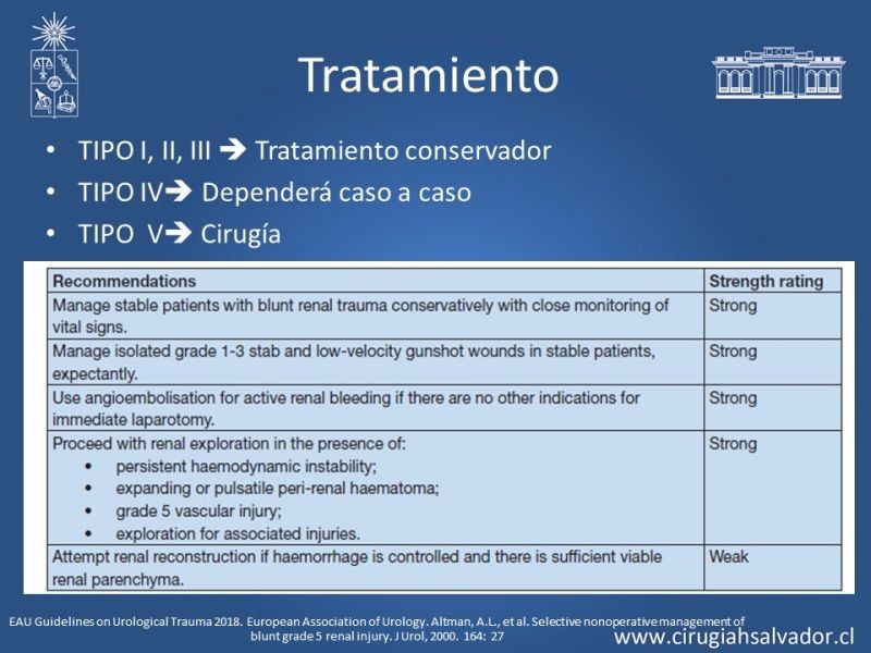 Diapositiva 12 de Trauma Renal