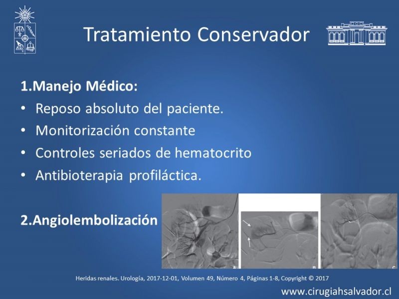 Diapositiva 10 de Trauma Renal