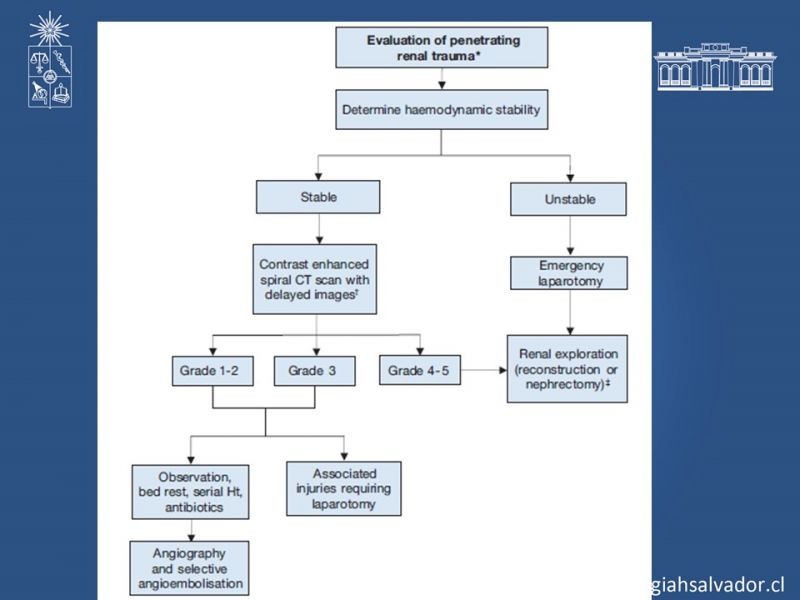 Diapositiva 15 de Trauma Renal