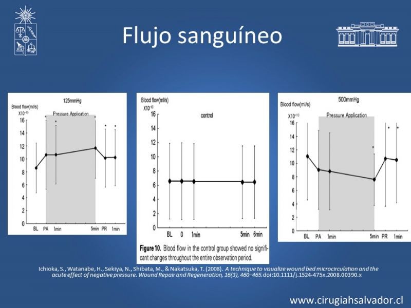 Diapositiva 14 de Terapia de presión negativa