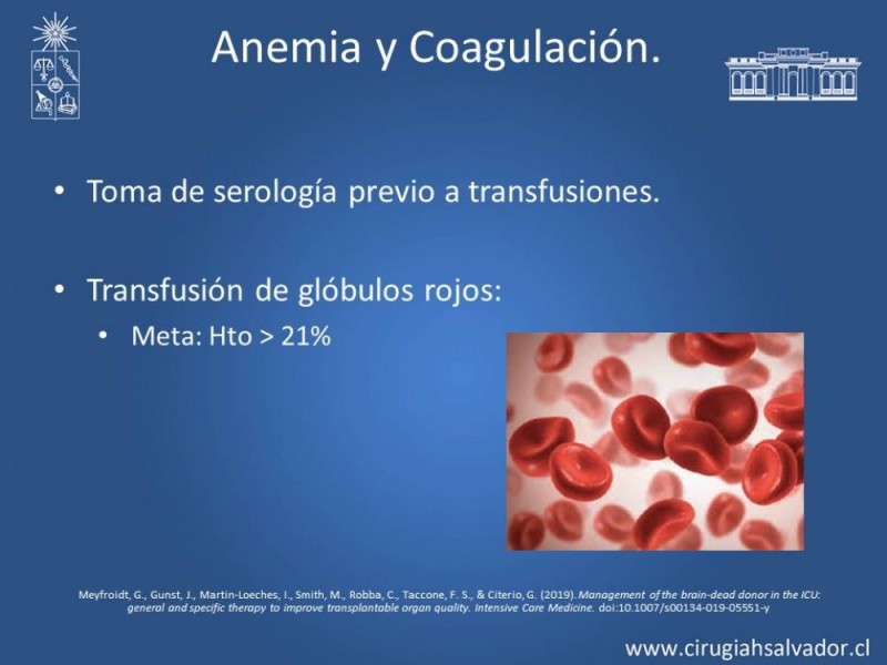 Diapositiva 12 de Muerte cerebral: manejo inicial del posible donante