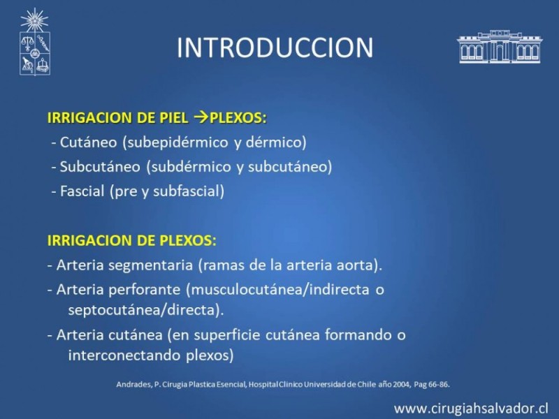 Diapositiva 4 de Aplicación Colgajos Perforantes