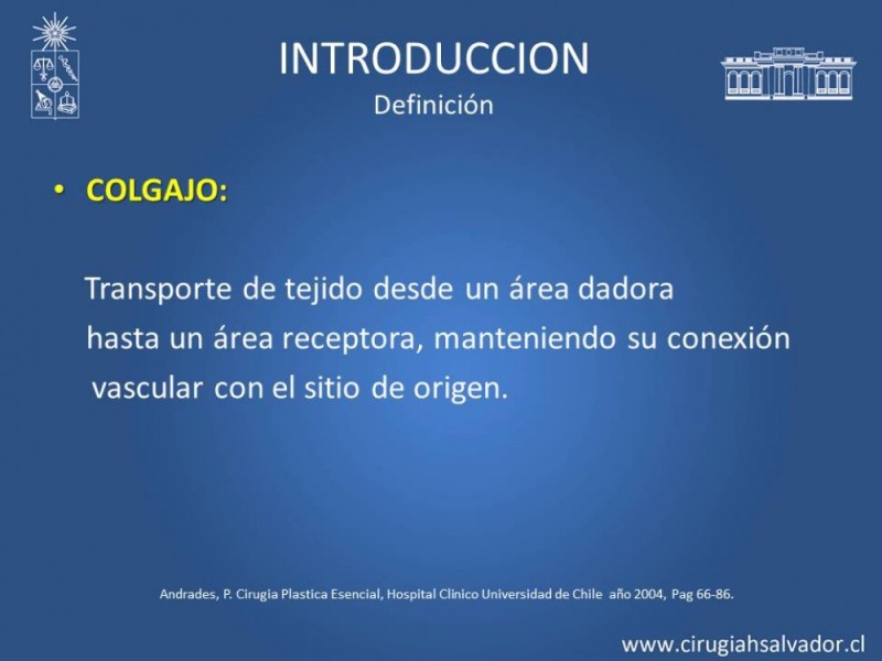 Diapositiva 2 de Aplicación Colgajos Perforantes