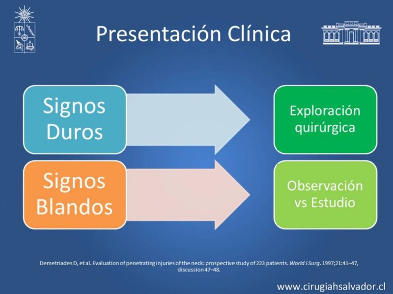 Diapositiva 12 de Trauma Carotídeo