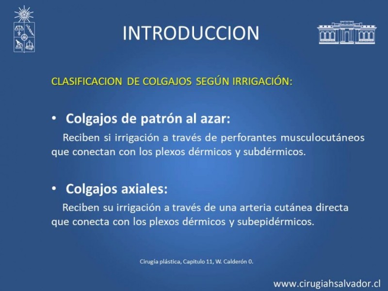 Diapositiva 6 de Aplicación Colgajos Perforantes