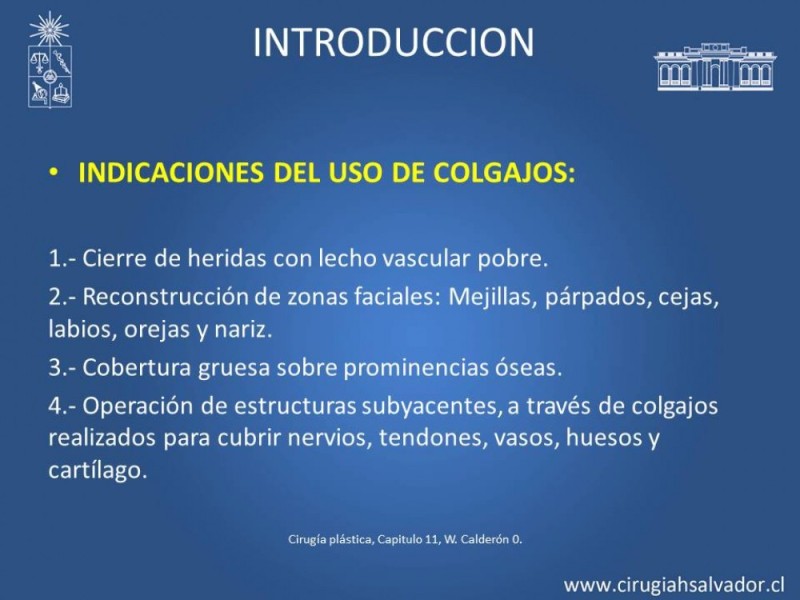 Diapositiva 3 de Aplicación Colgajos Perforantes