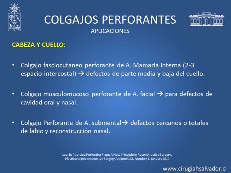 Diapositiva 22 de Aplicación Colgajos Perforantes